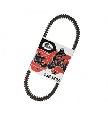 BANDA GATES SUZUKI KING...