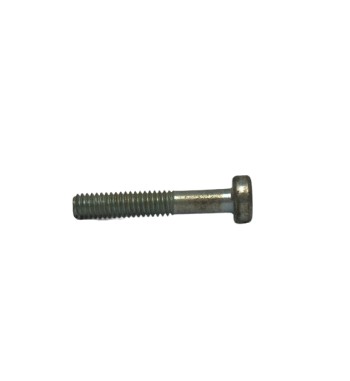 TORNILLO M6 X 25