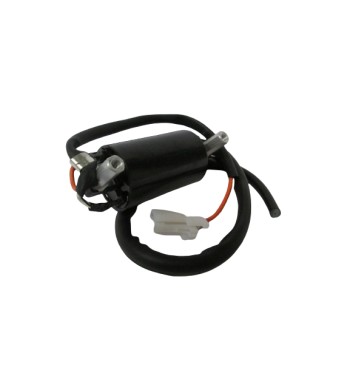 BOB. COIL P/S-EN125 2007-25