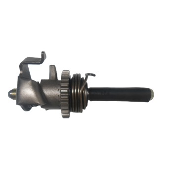 EJE PED. ARRA. ITALIKA...