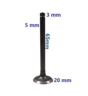 VAL. ESC. ITALIKA ARGENTA 110