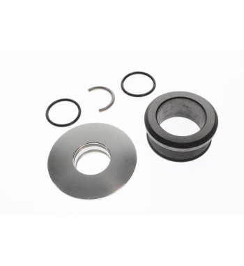 ANILLO CARBON BRP. PWC....