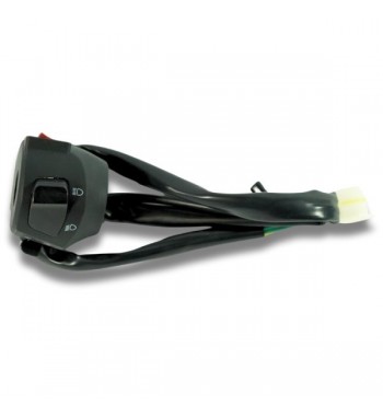 INT. IZQ. VENTO RYDER 150...