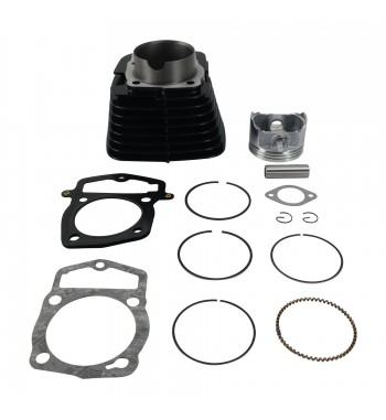 CIL. COMP. ITALIKA TC250