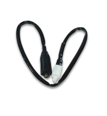 INT. STOP TRA. PED. VENTO...