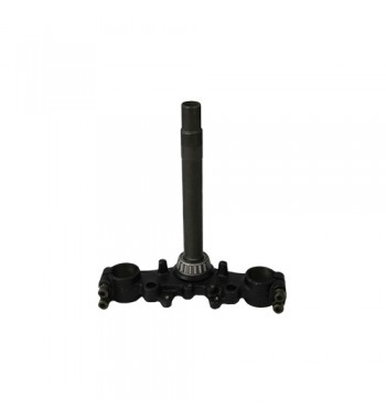 BASE DIRECC. ITALIKA DM150...