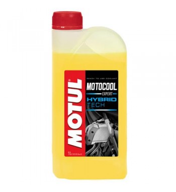 LIQ. ANTIC. MOTUL EXPERT LITRO