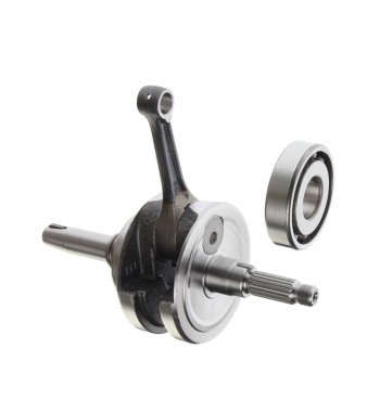 CIG. COMP. ITALIKA TC250