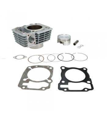 CIL. COMP. HON. HGL-150 /...