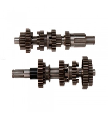 ARBOL PRIM/SEC. VENTO...